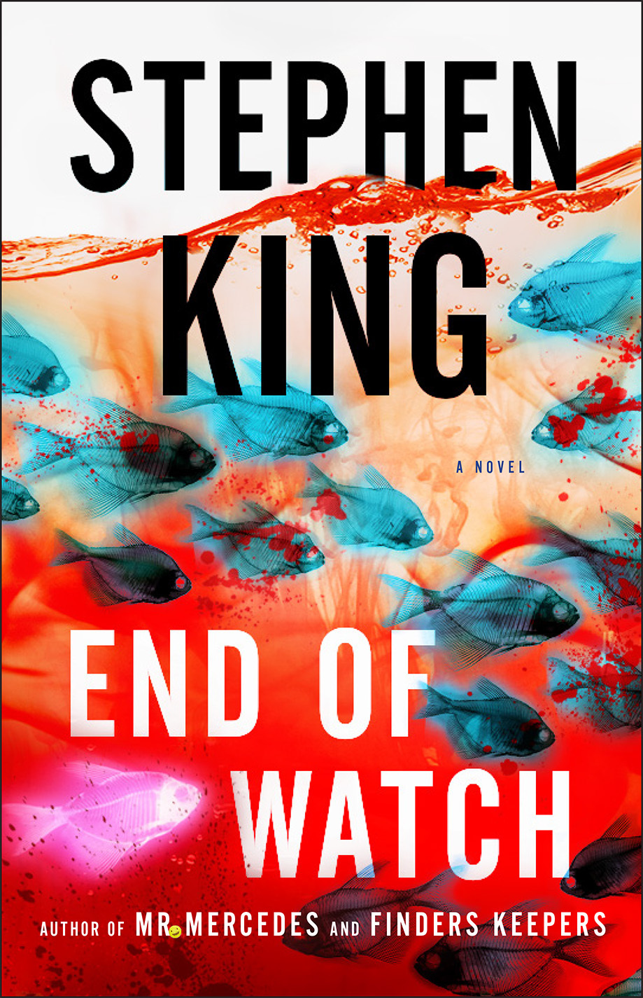 End of Watch (Bill Hodges Trilogy, #3)