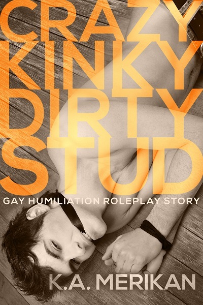 Crazy Kinky Dirty Love book cover 2