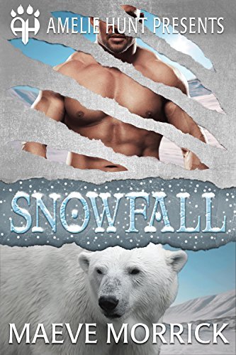 Snowfall book cover