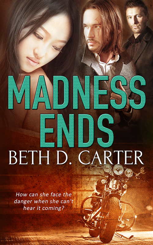 Madness Ends book cover