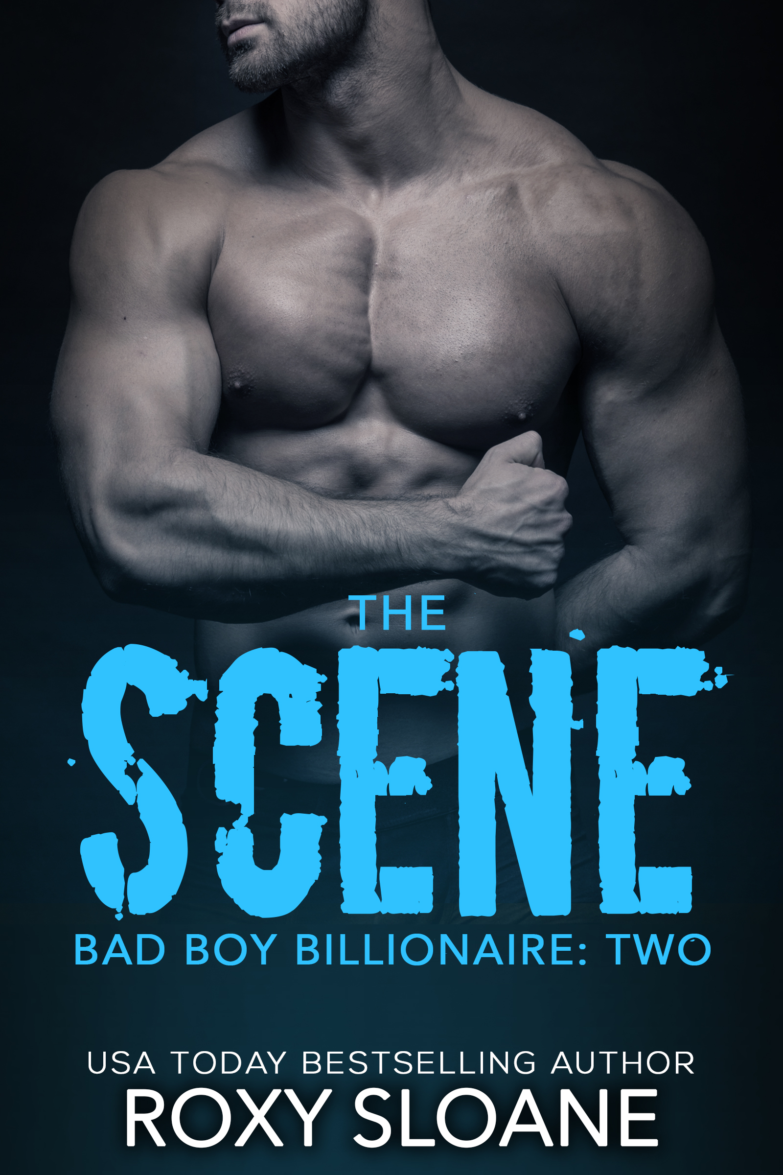 The Scene Part Two book cover