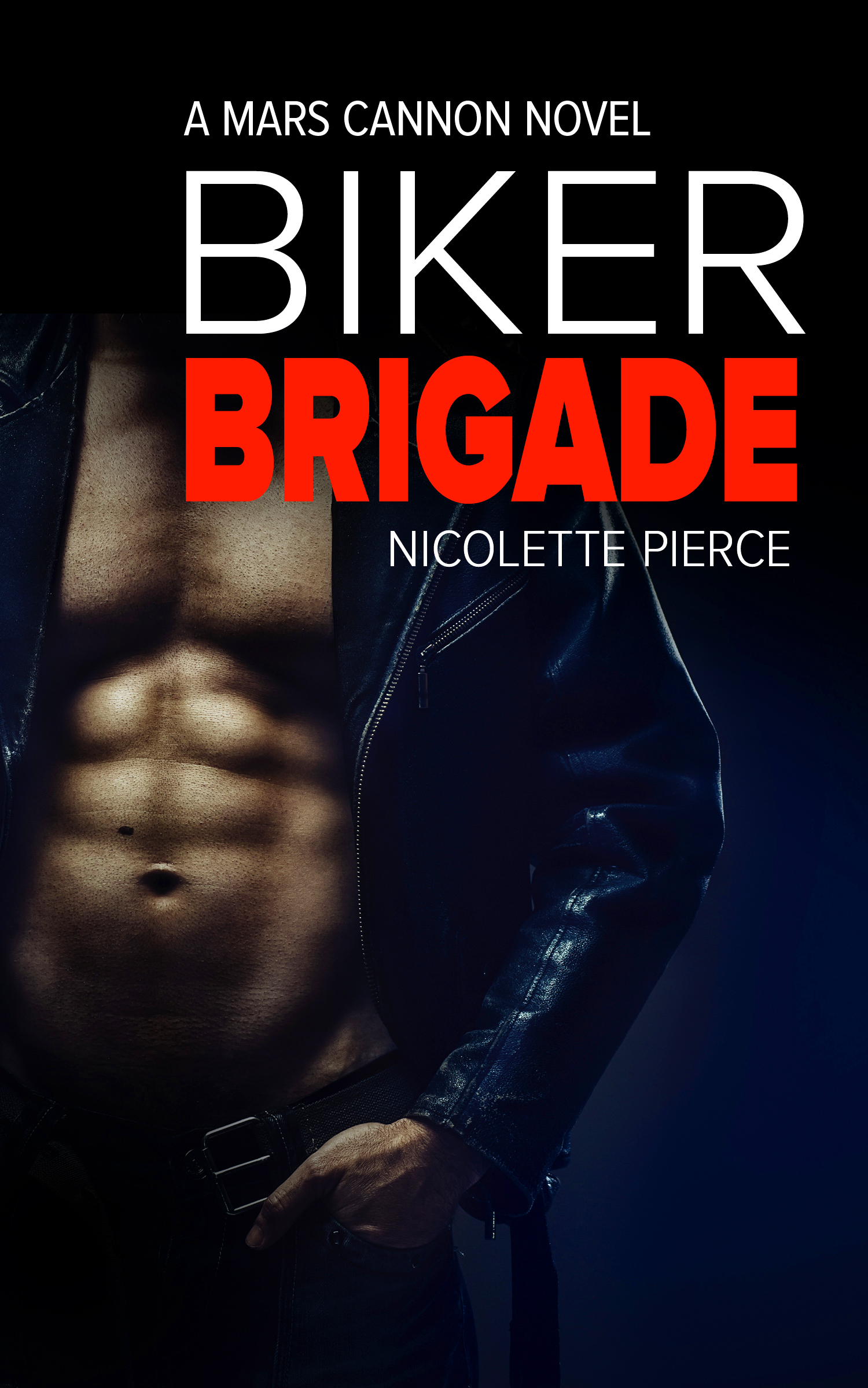 Biker Brigade book cover