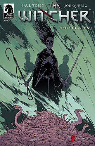 The Witcher book cover