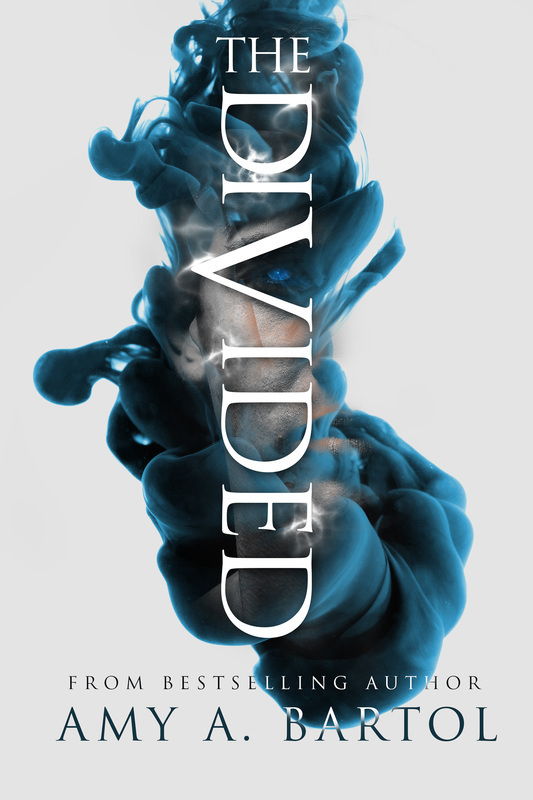 The Divided book cover
