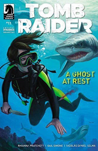 Tomb Raider #11