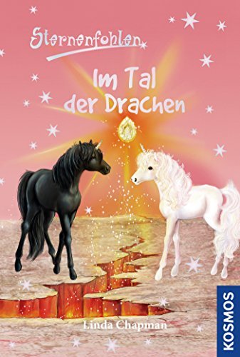 Im Tal der Drachen book cover