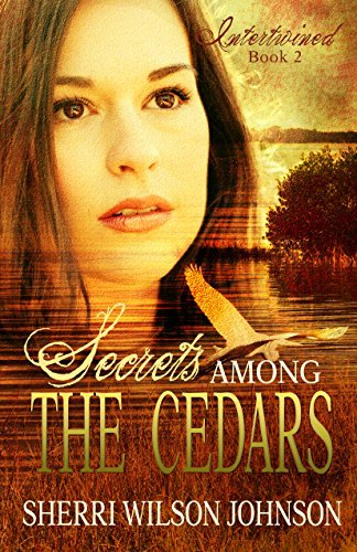Intertwined book cover 2