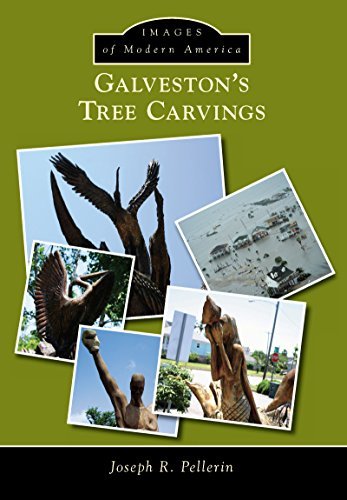 Galveston's Tree Carvings book cover