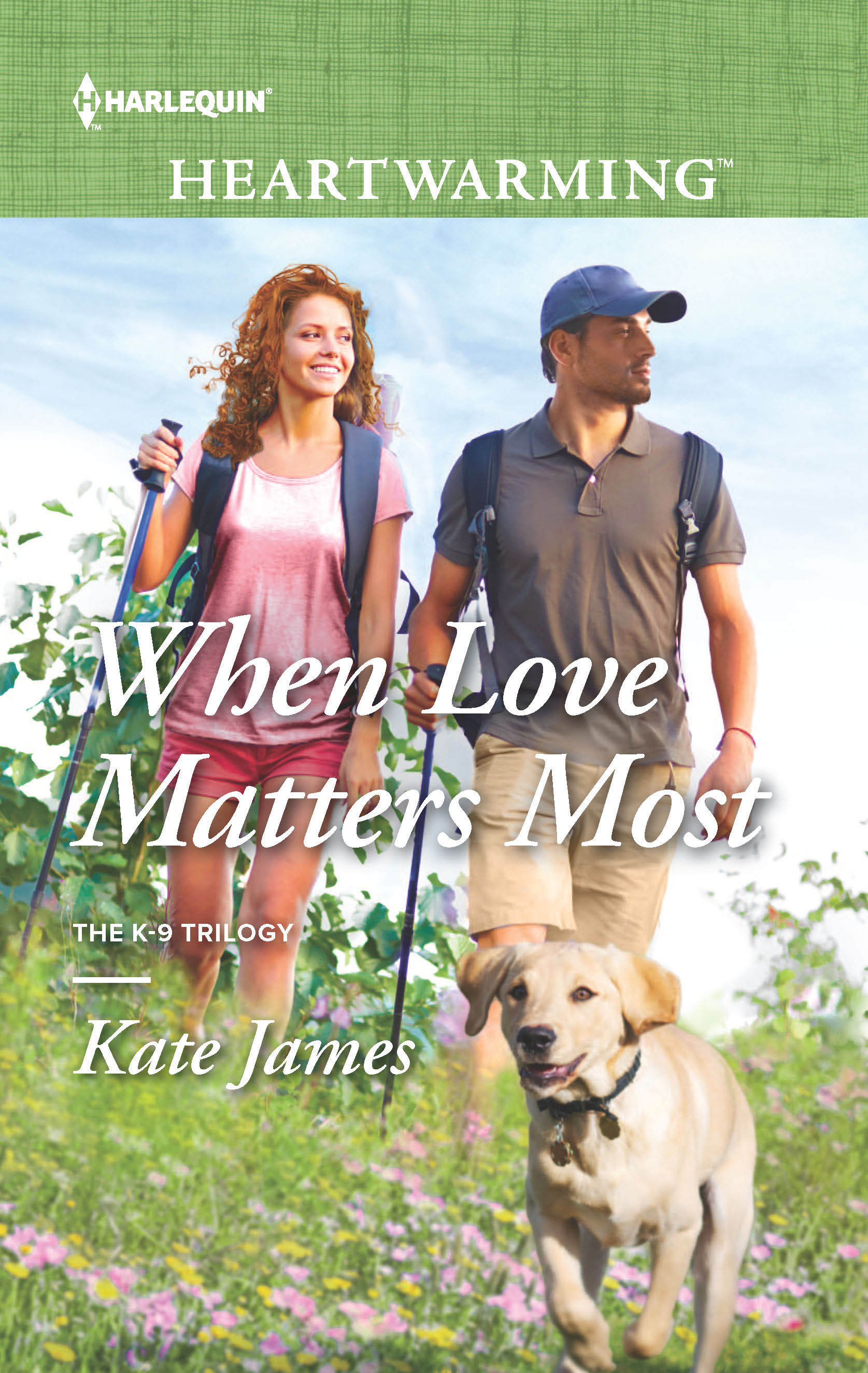 Cover of When Love Matters Most