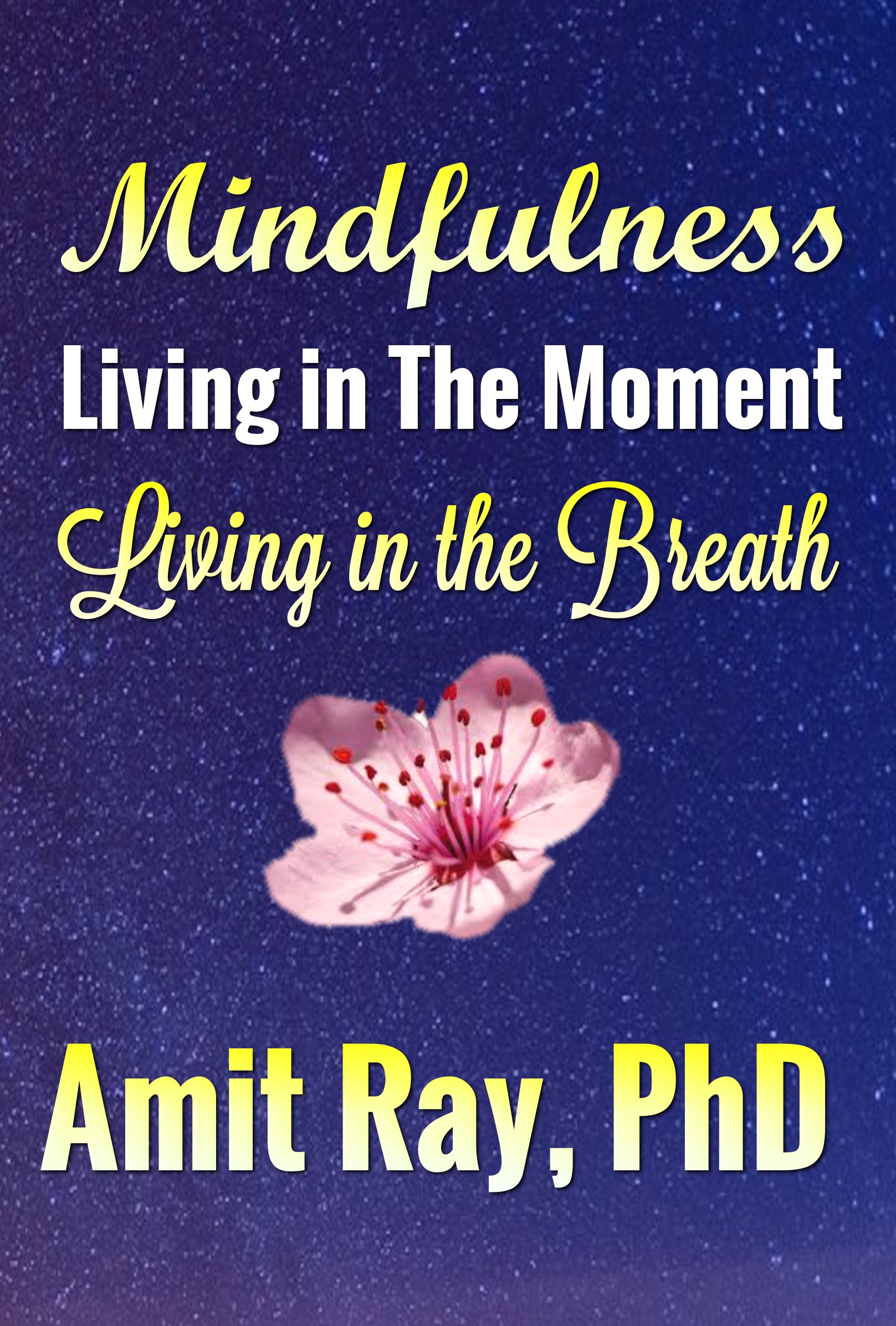 Cover of Mindfulness Living in the Moment - Living in the Breath