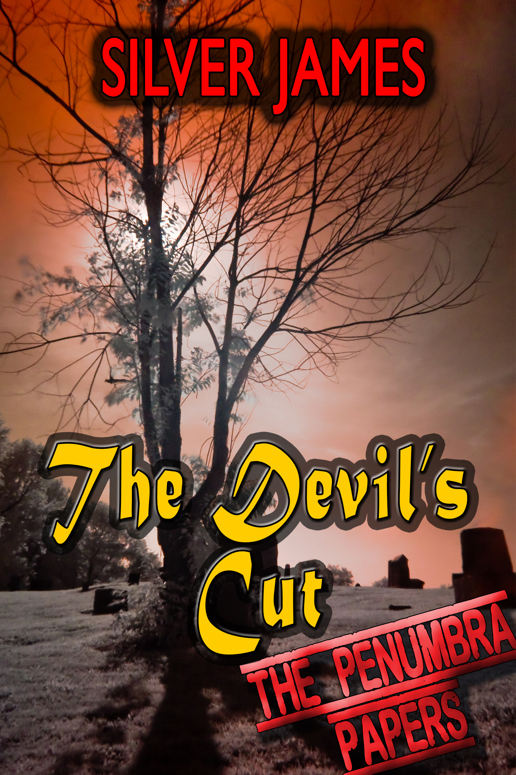 The Penumbra Papers book cover 3