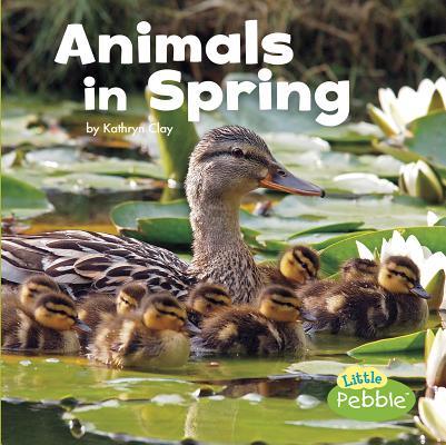 Spring Reading Animal Animals in Spring (Celebrate Spring) by Kathryn Clay | Goodreads