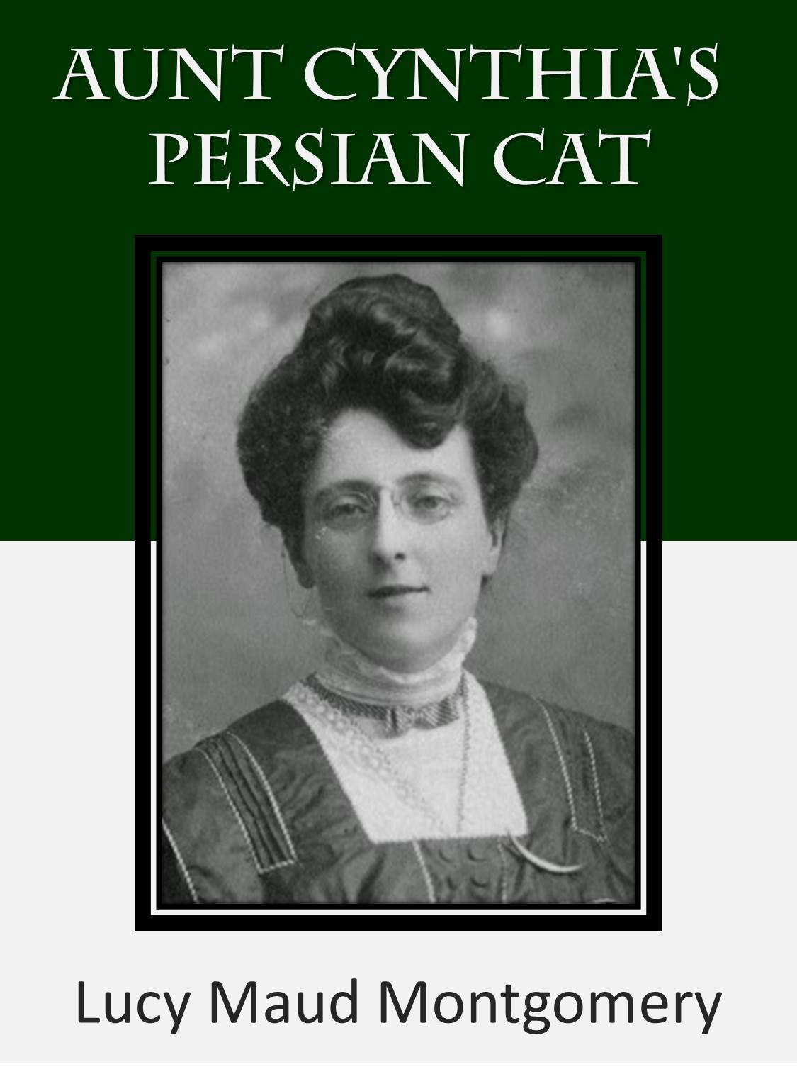 Aunt Cynthia's Persian Cat book cover