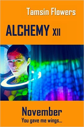 Alchemy xii - November book cover