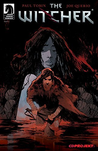The Witcher book cover