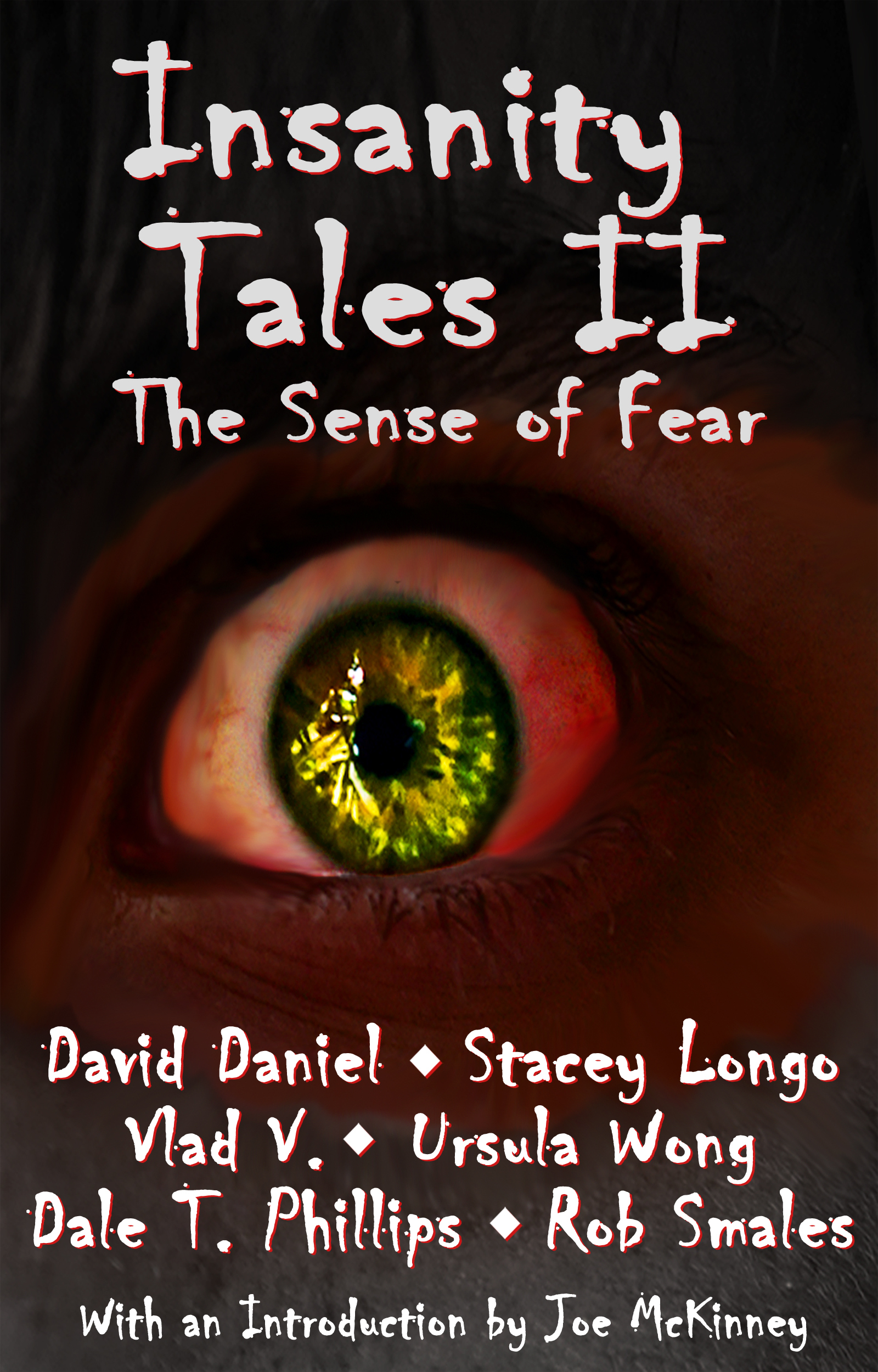Insanity Tales book cover 2