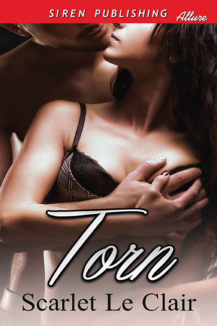 Torn book cover 1