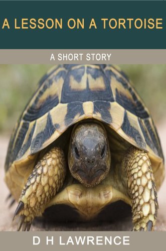 A Lesson on a Tortoise book cover