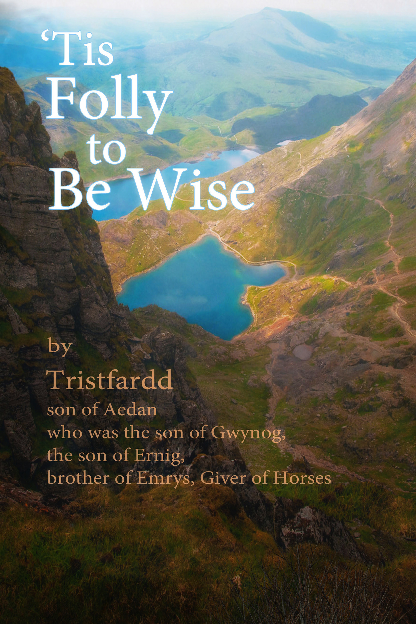 'Tis Folly To Be Wise by John Arkison Goodreads