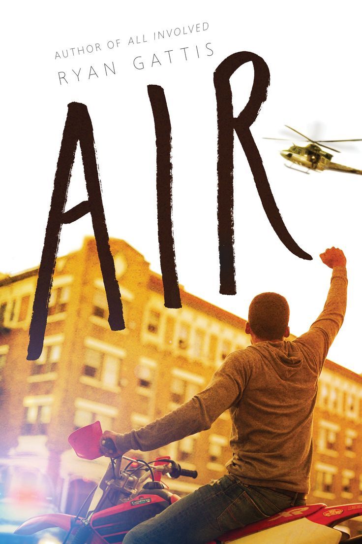 AIR book cover