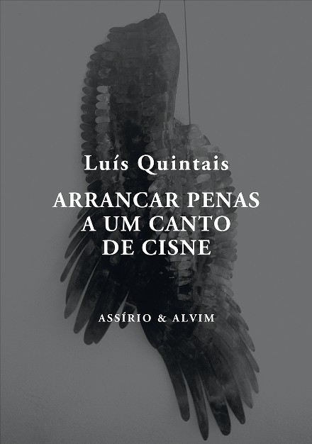 Arrancar Penas a um Canto de Cisne book cover