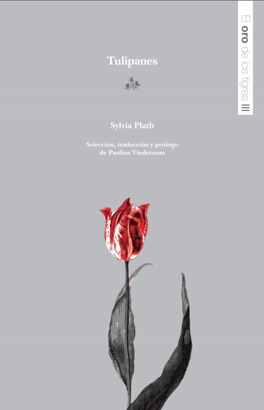 Tulips book cover