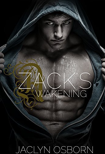 Zack's Awakening book cover