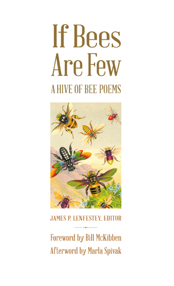 24 Gifts for Bee Lovers That Are Worth Buzzing About - Birds and Blooms