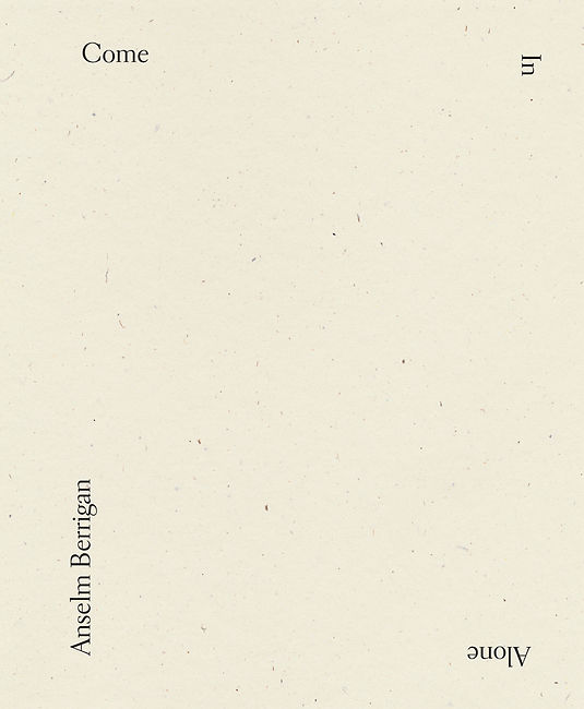 Come In Alone book cover