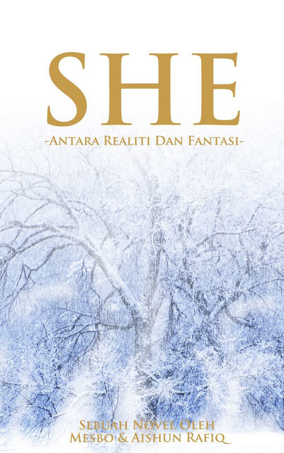 SHE book cover