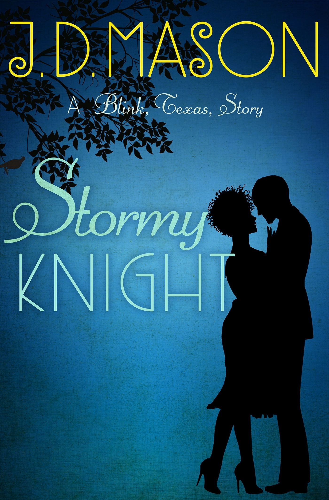 Stormy Knight: A Blink, Texas, Story