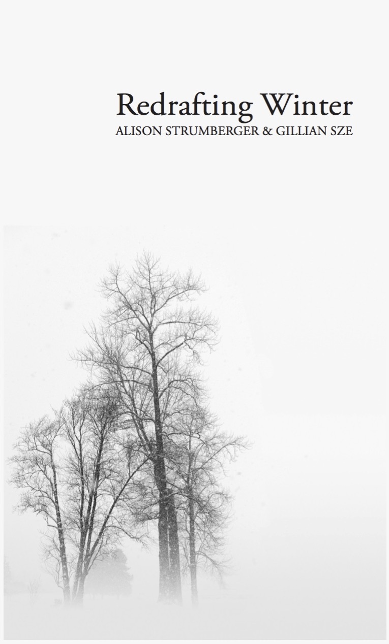 Redrafting Winter book cover