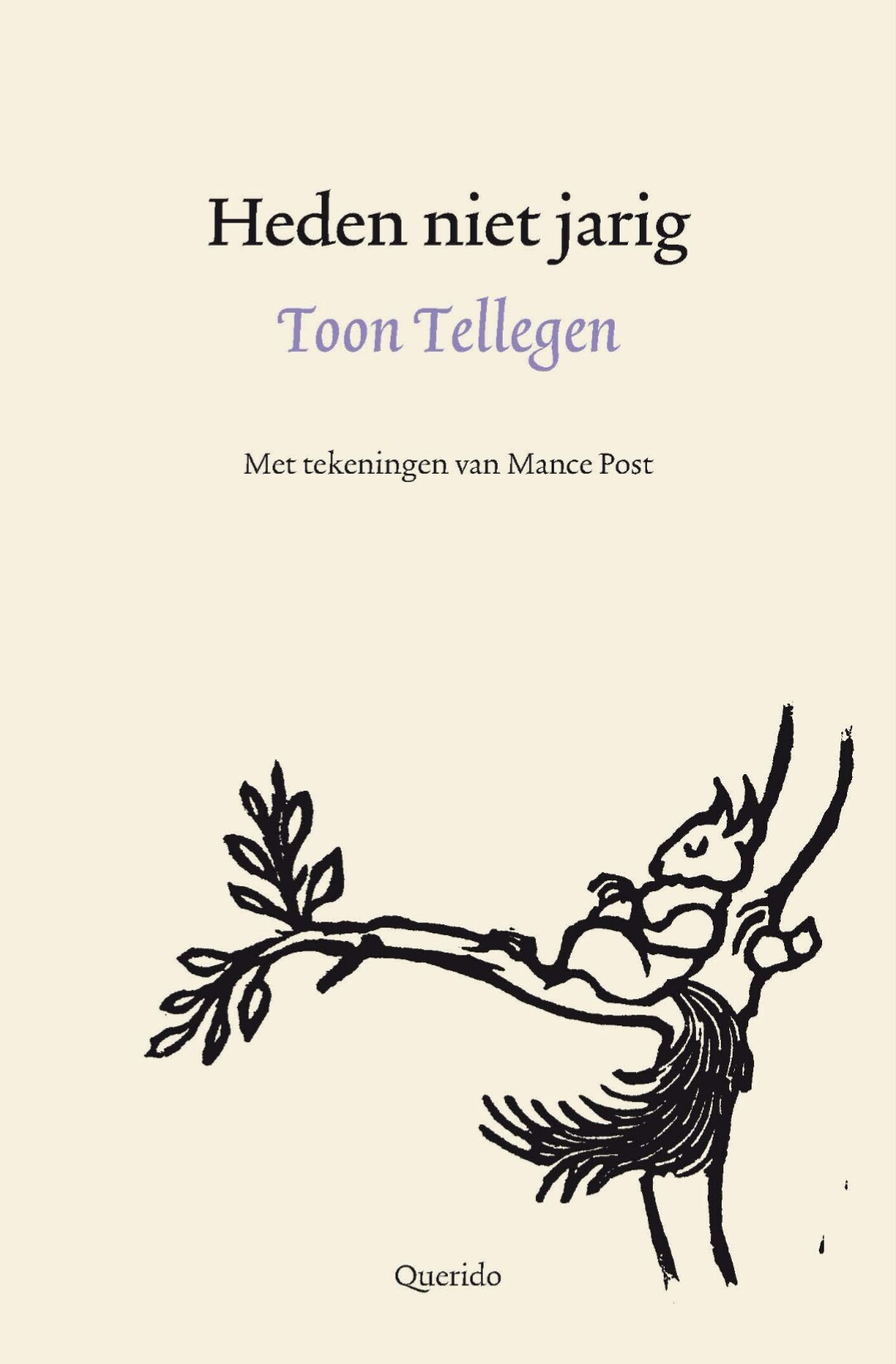 Heden niet jarig book cover