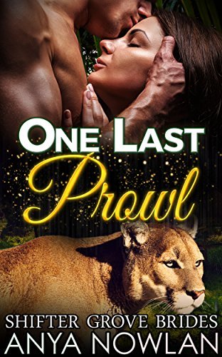 One Last Prowl book cover