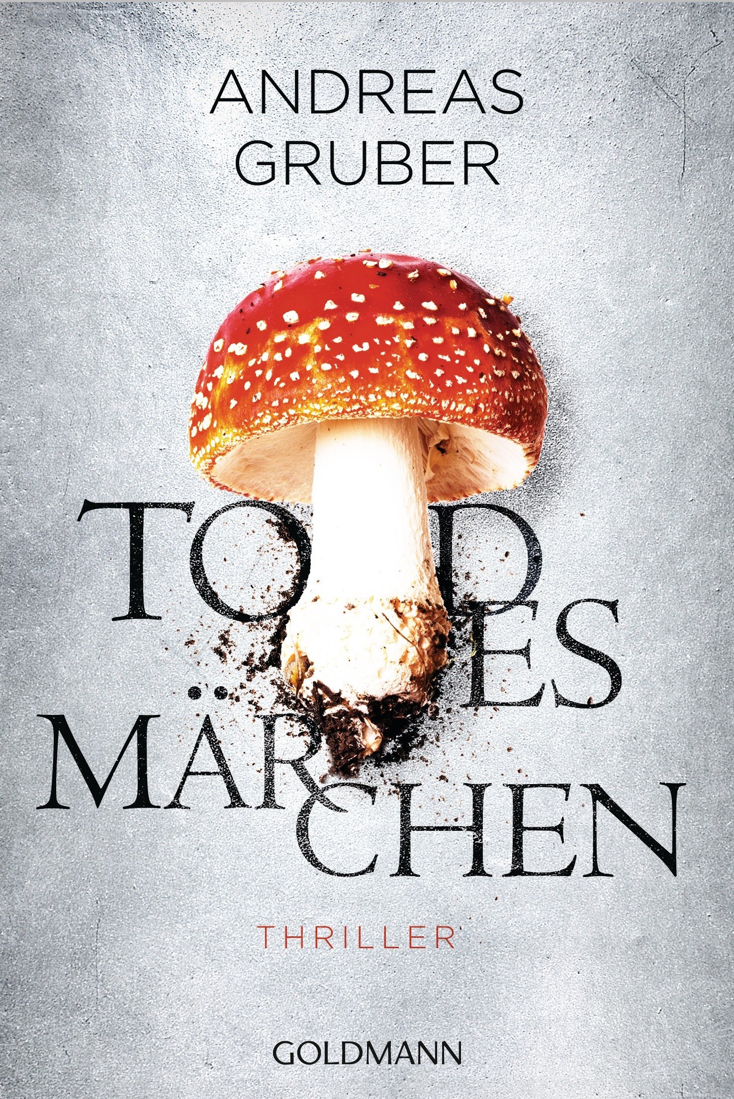 Maarten S. Sneijder book cover 3