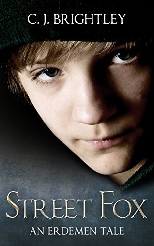Street Fox book cover