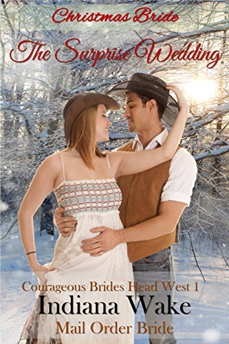 Christmas Mail Order Bride book cover