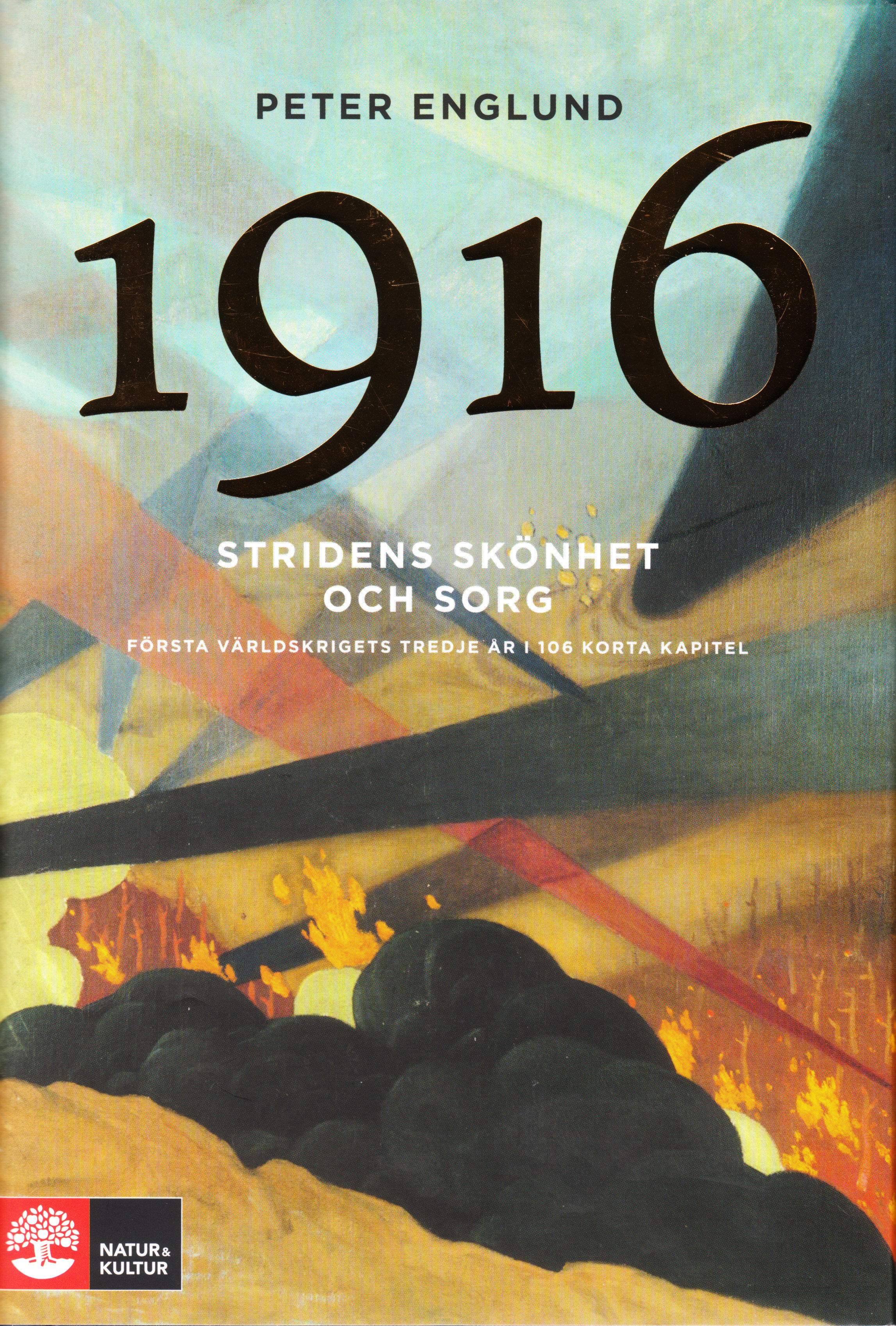 Stridens  skönhet och sorg 1916 : första världskrigets tredje år i 106 korta kapitel
