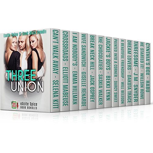 Three Union book cover
