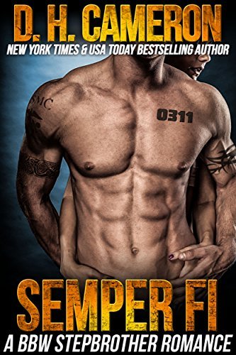 Stepbrother Romance book cover 2