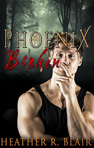 Phoenix Broken book cover