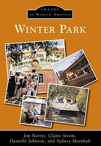 Winter Park book cover