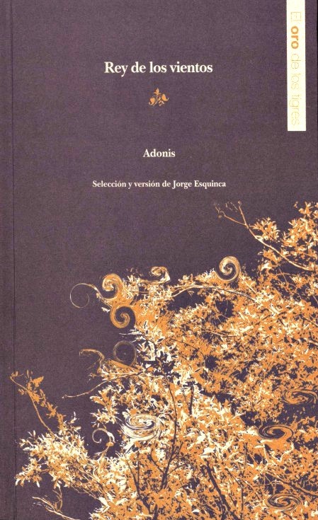 Rey de los vientos book cover
