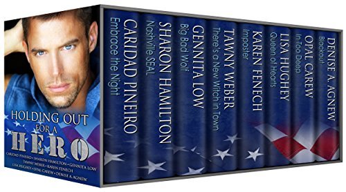 Holding Out For A Hero book cover