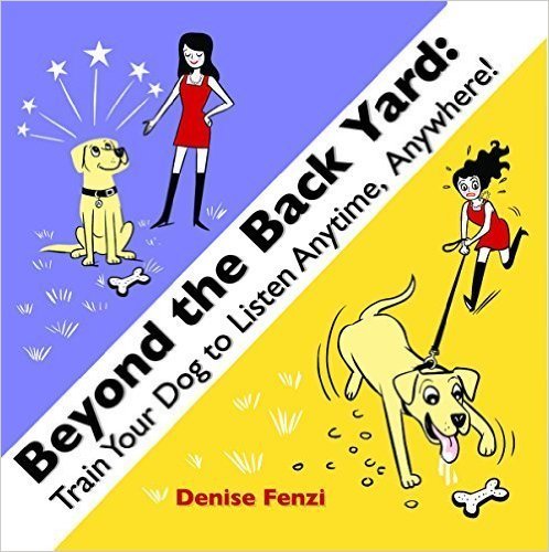 Beyond the Backyard: Train Your Dog to Listen Anytime, Anywhere