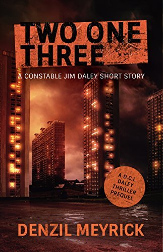 Two One Three book cover