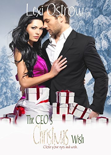 Christmas Wish book cover 2