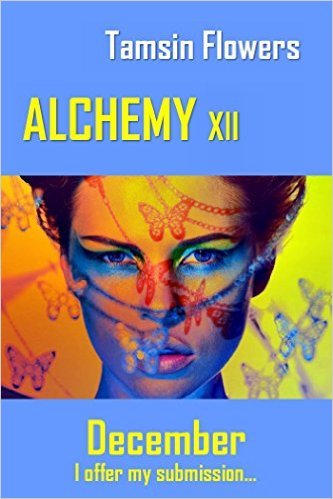 Alchemy xii - December book cover