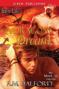 A Dragon's Dream book cover