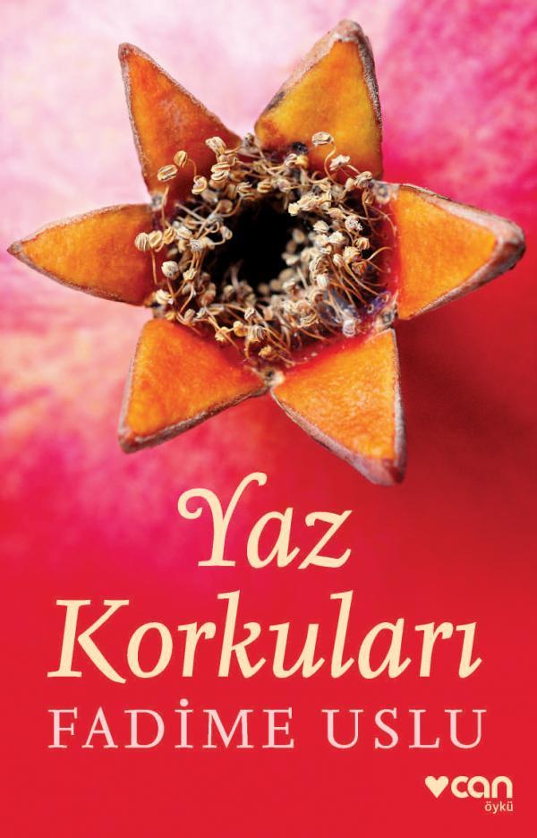 Yaz Korkuları book cover